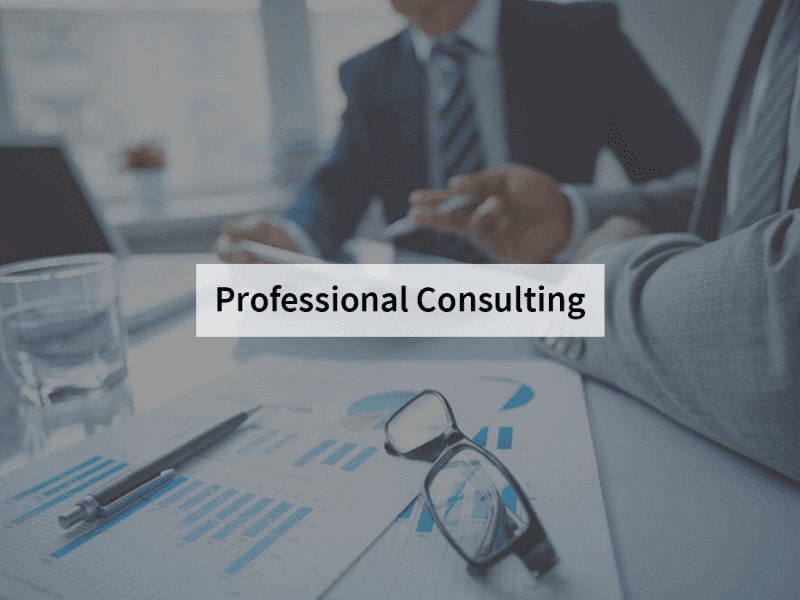 Professional IT Consulting Irvine